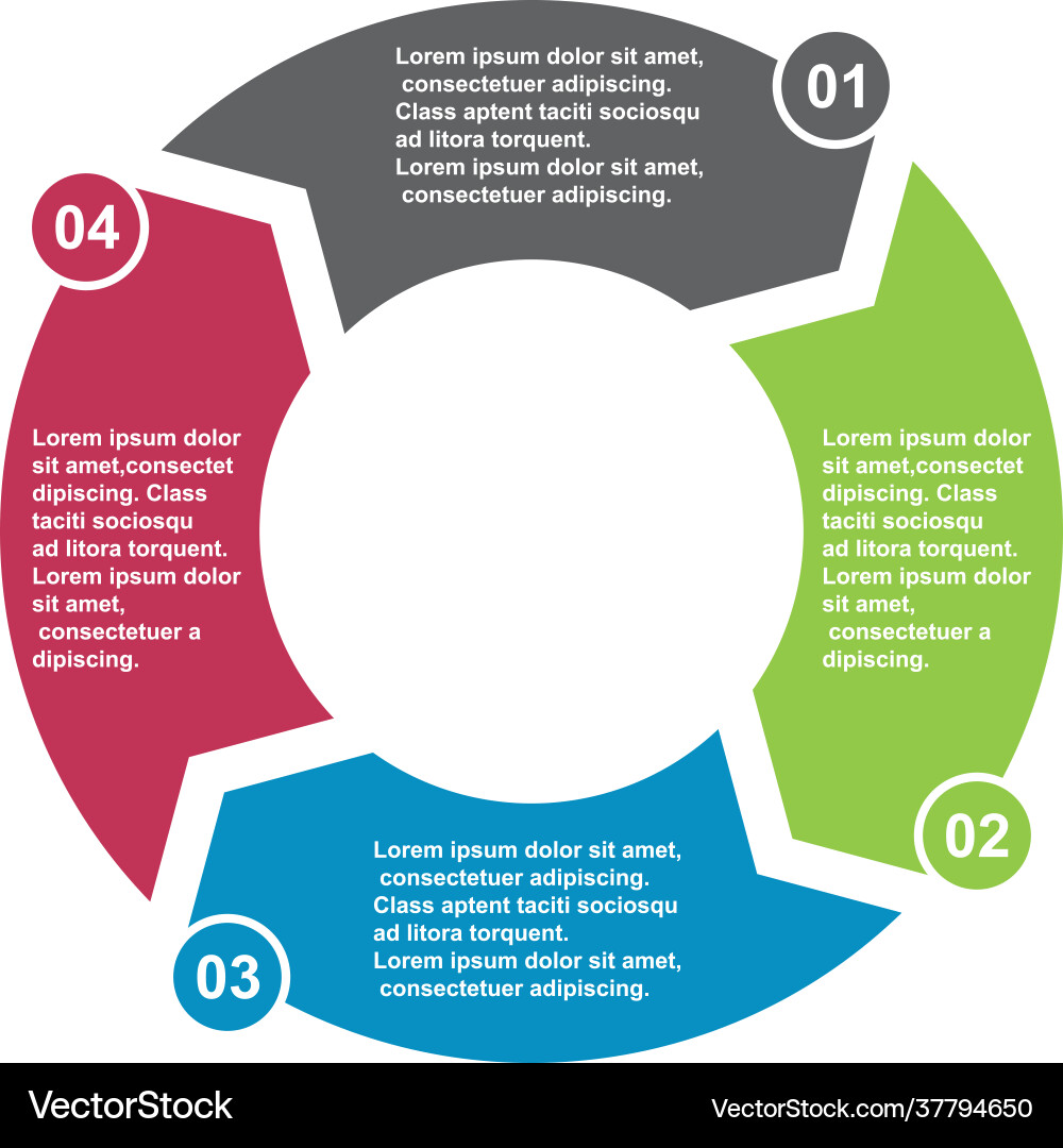 4 step element in four colors with labels 4 step element in four colors with labels vector image