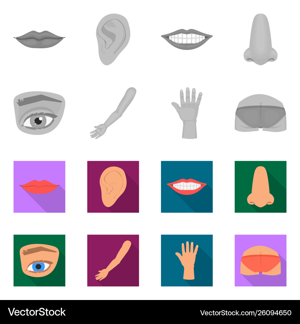 Isolated object body and part icon collection Isolated object body and part icon collection vector image