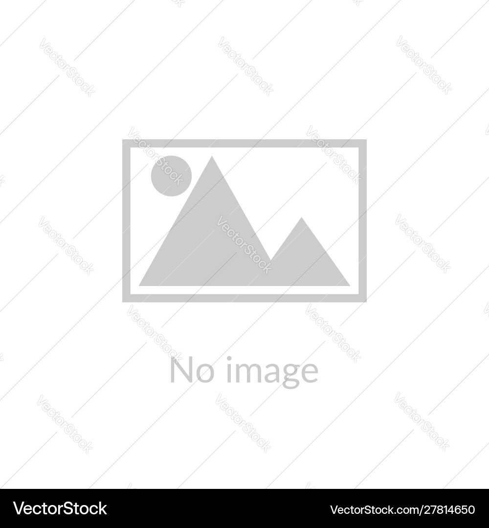 Missing Placeholder Icon - Website Error vector image