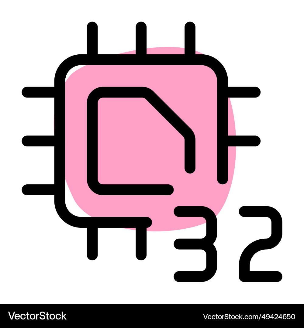 Processing unit with a 32-bit data capacity vector image