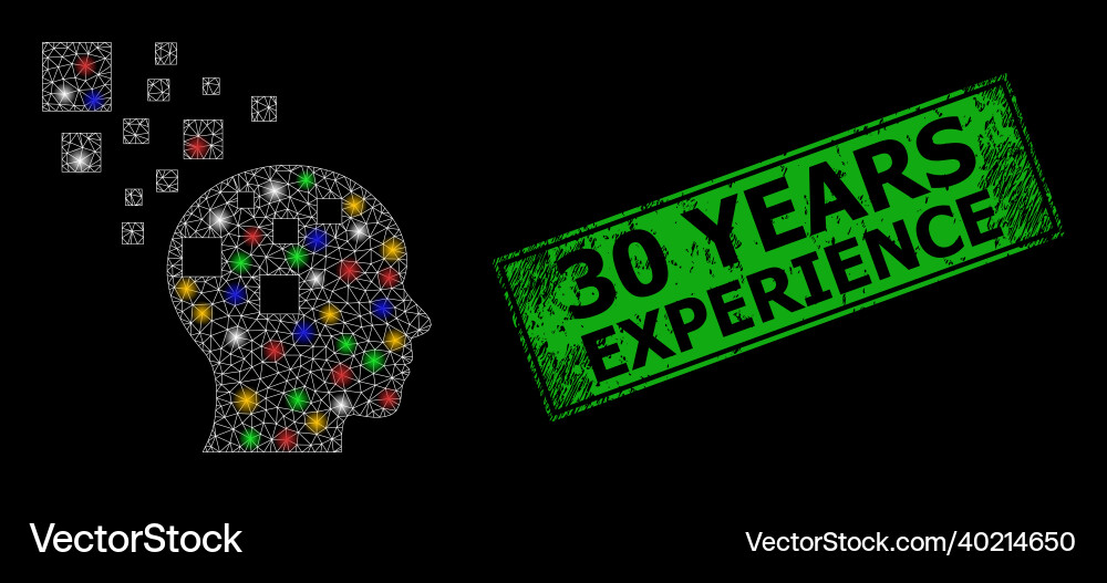Textured 30 years experience seal with mesh memory Textured 30 years experience seal with mesh memory vector image