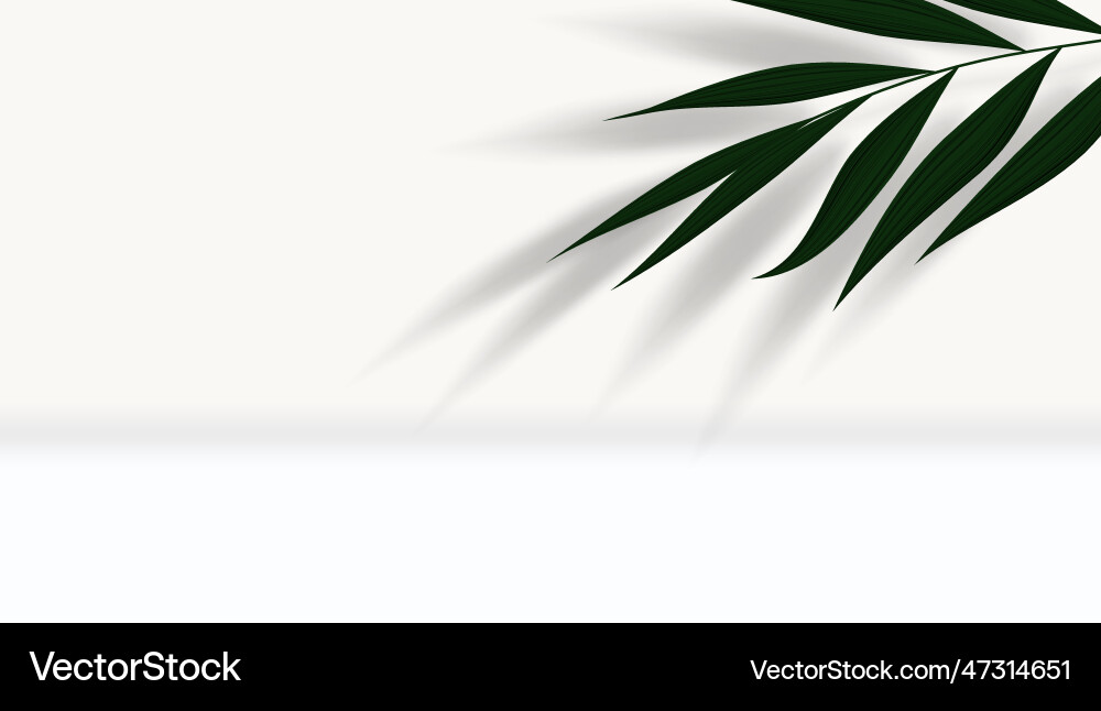 Abstract minimal backg with leaves and shadows Vector Image