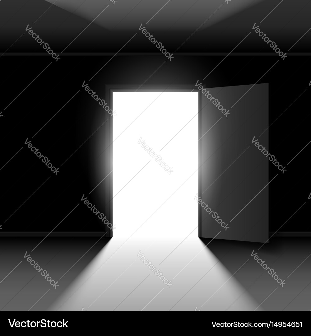 Exit door with light on dark empty background vector image