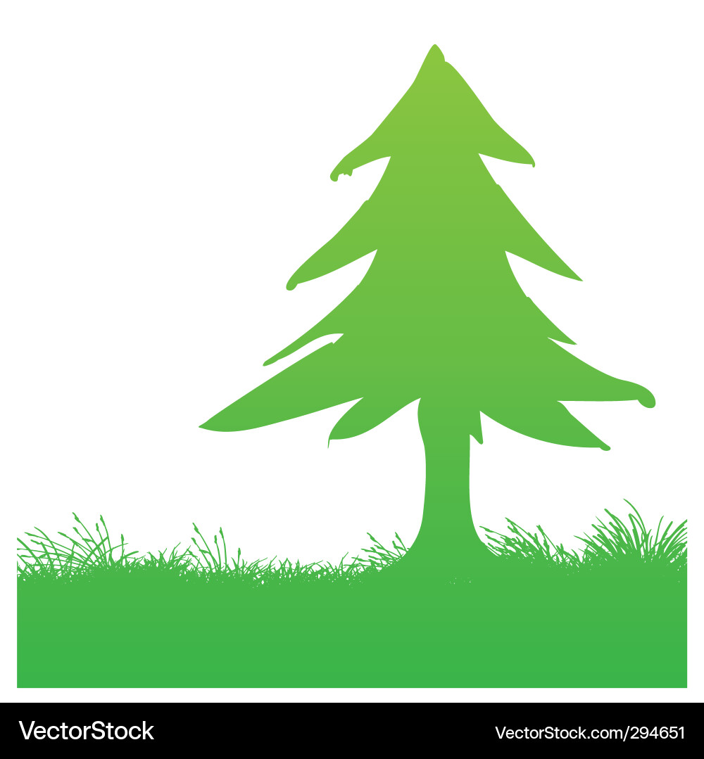 Pine tree vector image