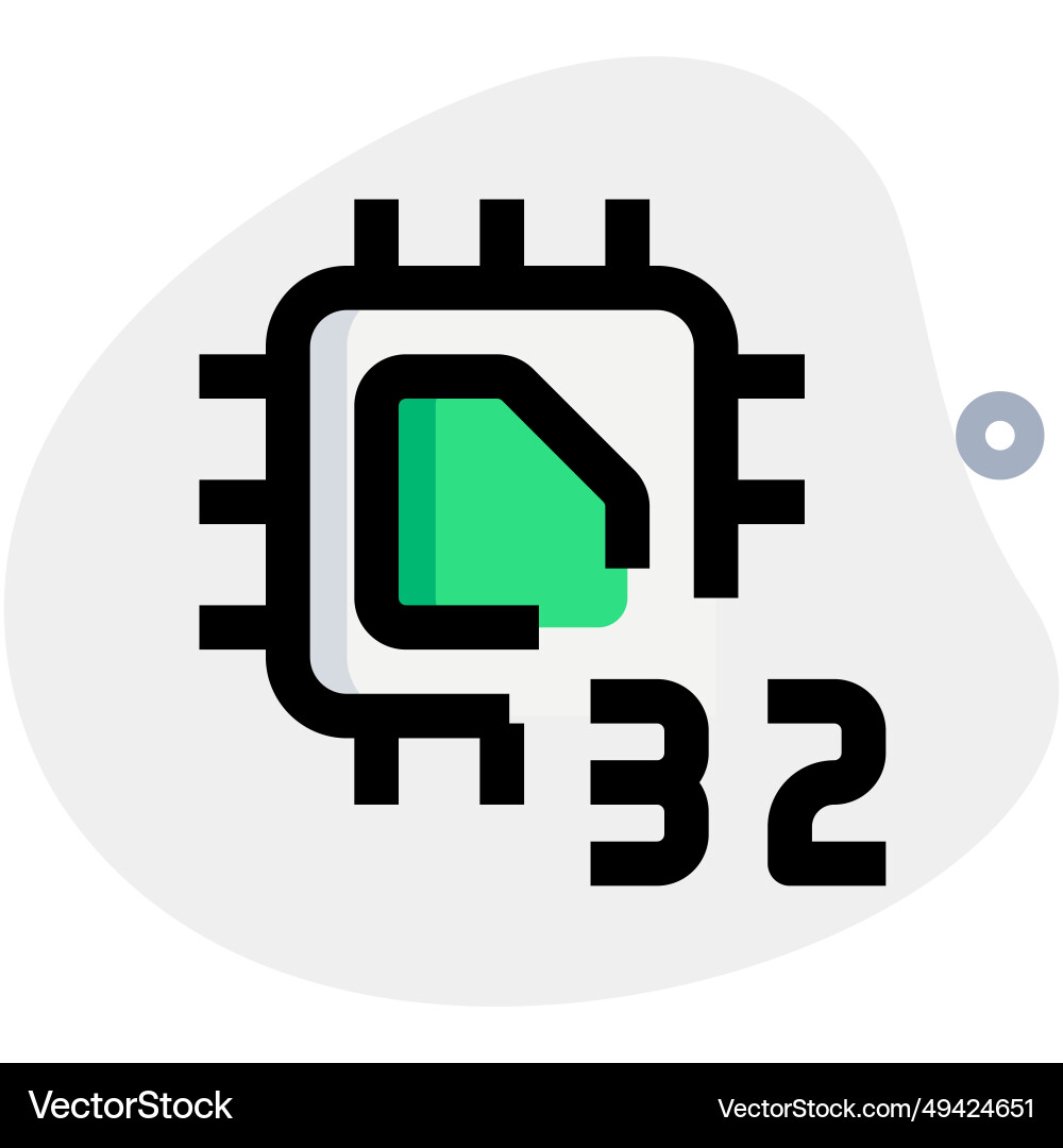 Processing unit with a 32-bit data capacity vector image