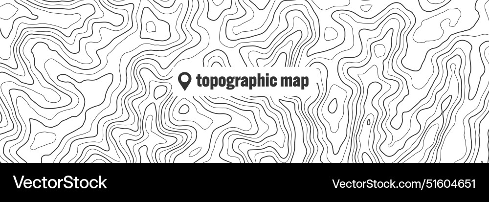 Topographic map with contour lines geographic Topographic map with contour lines geographic vector image