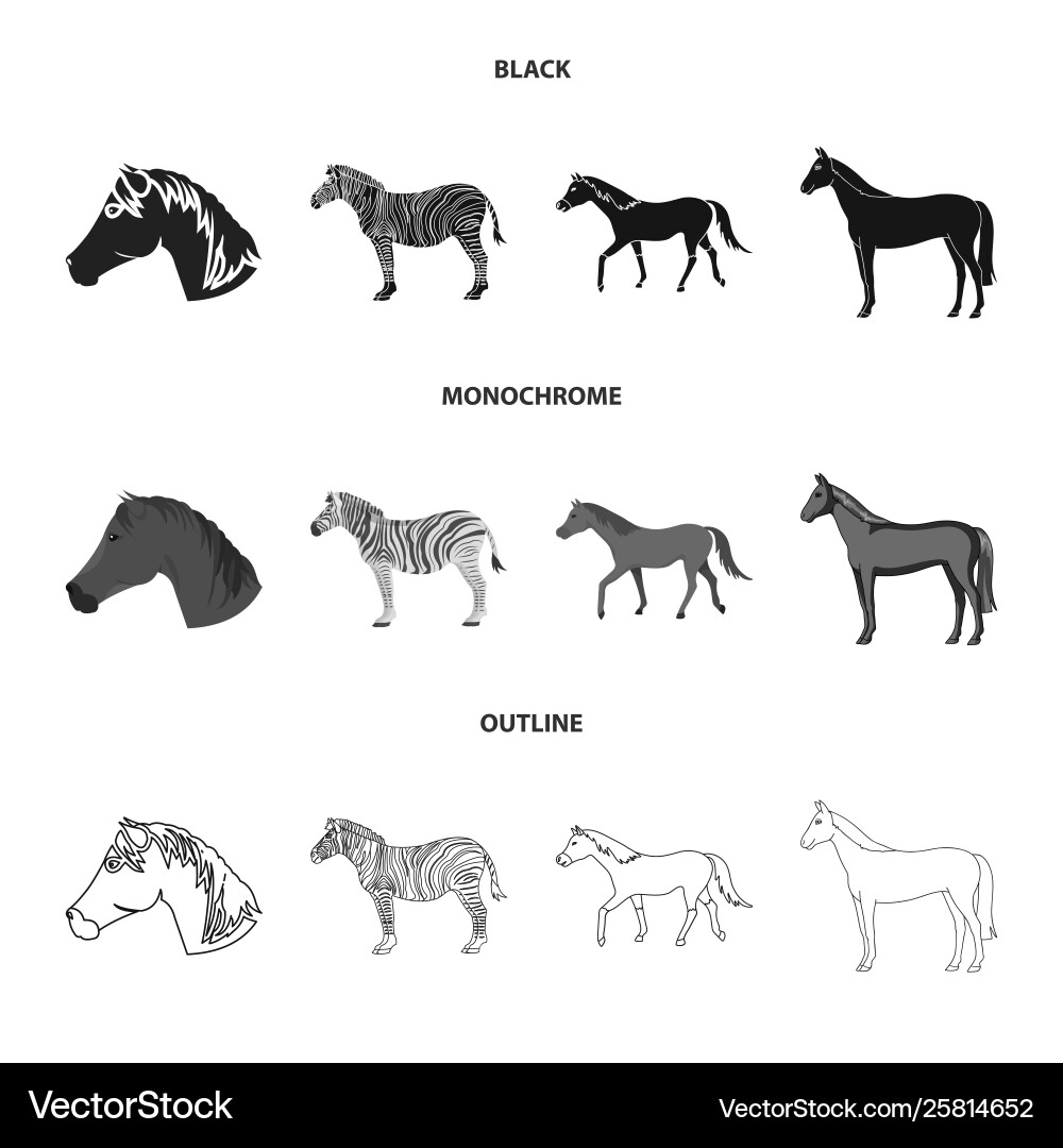 Isolated object trot and running icon vector image