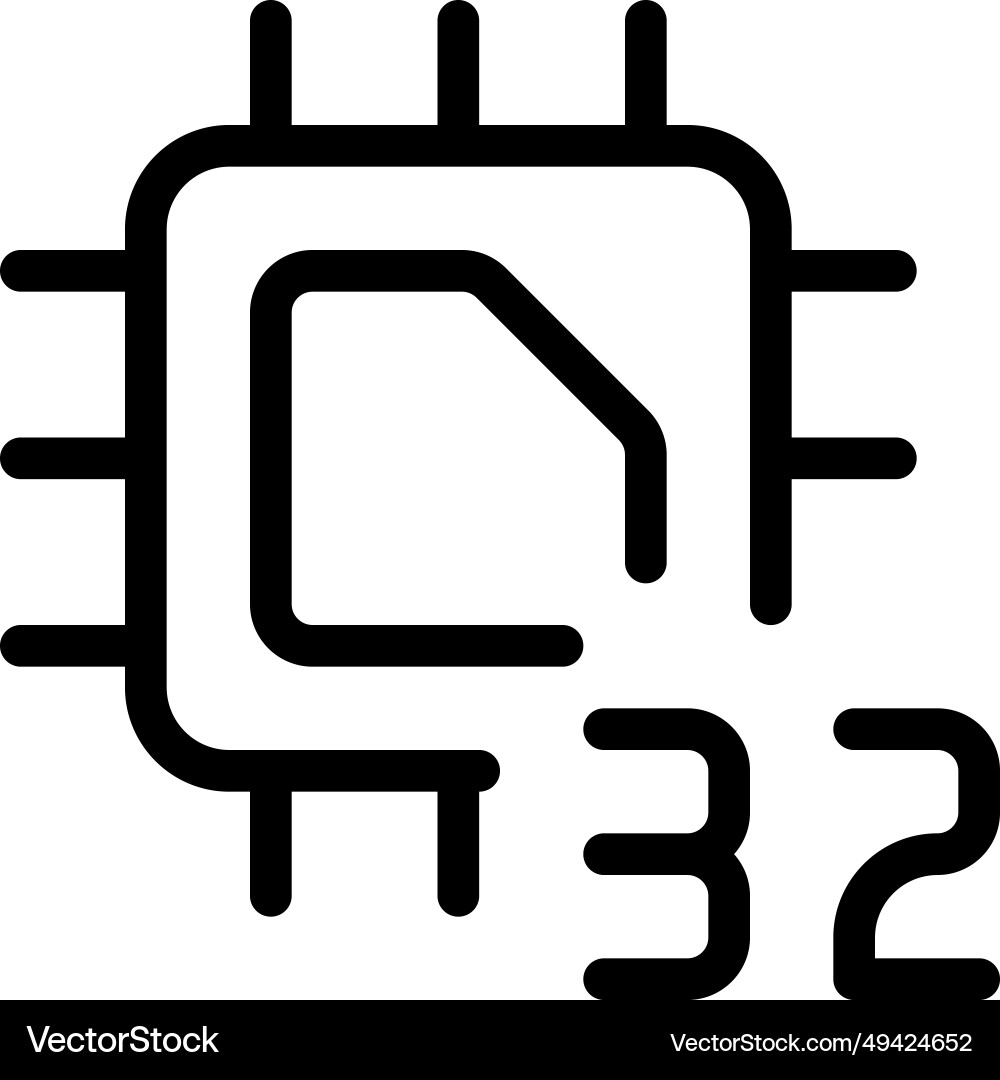 Processing unit with a 32-bit data capacity vector image