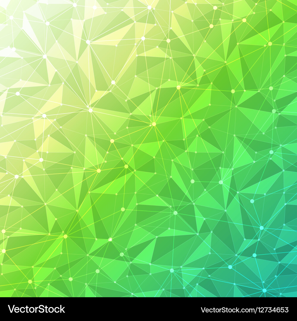 Dynamic Polygon Grid Background vector image