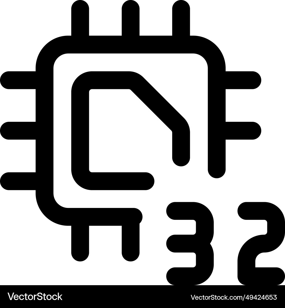 Processing unit with a 32-bit data capacity vector image