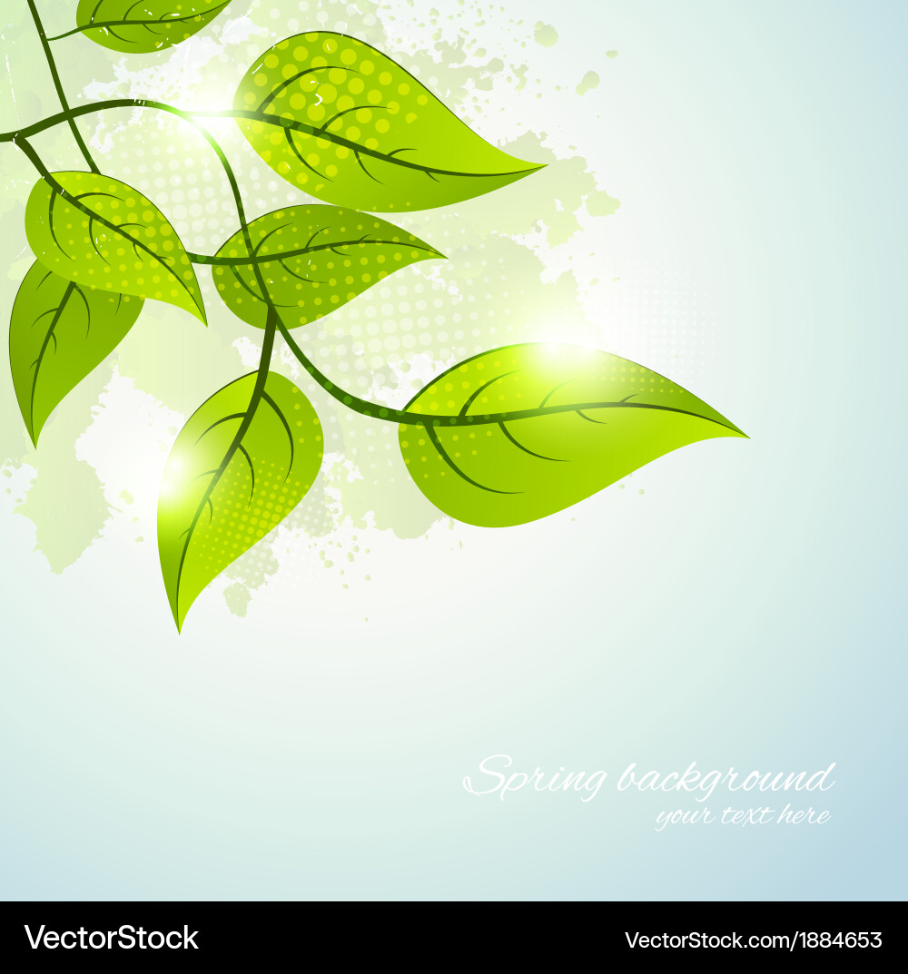 Spring background Vector Image