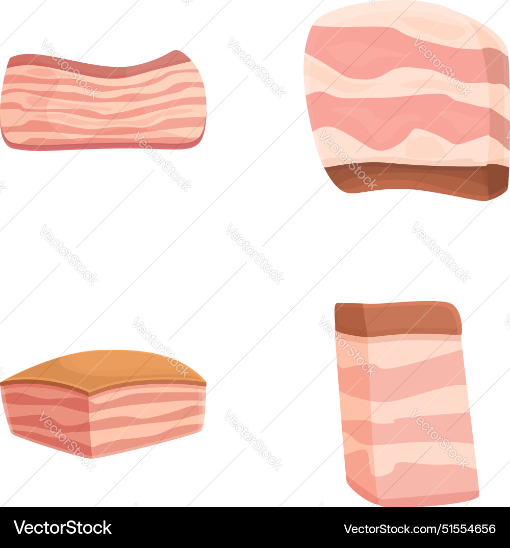 Assorted bacon strips set Assorted bacon strips set Vector Image