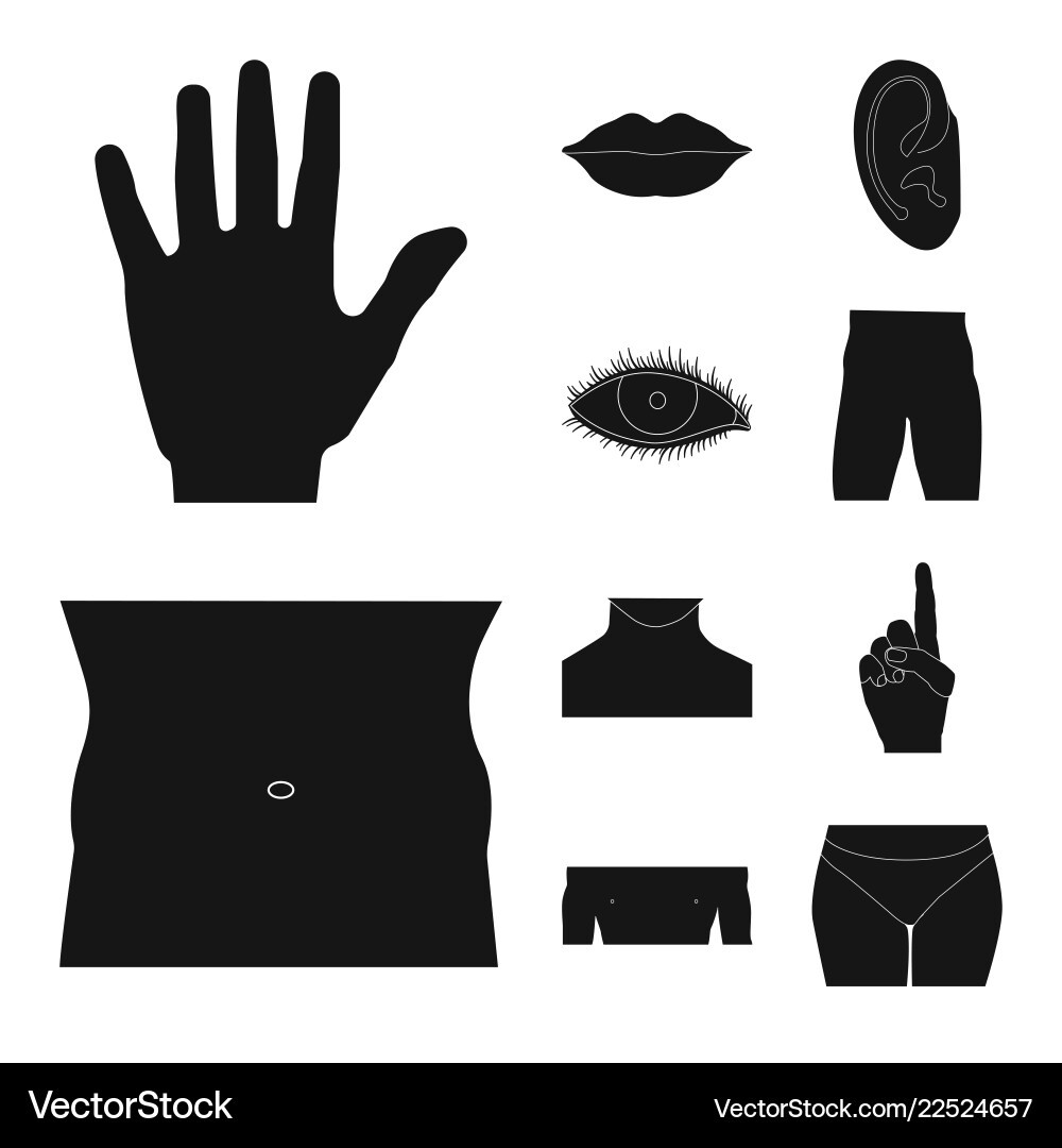 Isolated object of human and part icon collection Isolated object of human and part icon collection vector image