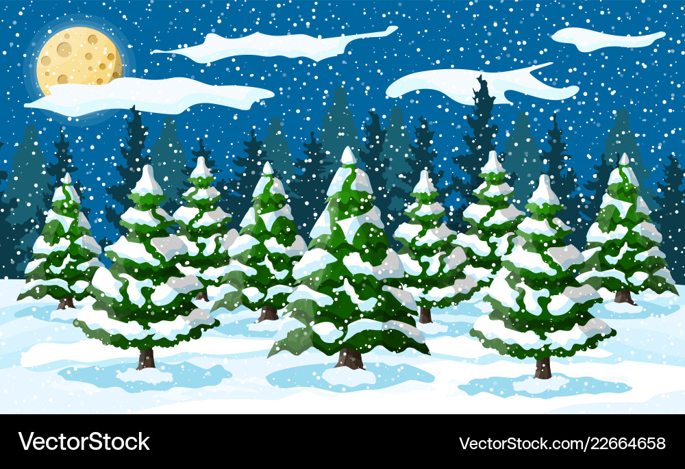 Winter Pine Forest at Night Royalty Free Vector Image