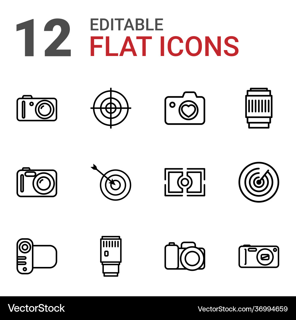 12 objective icons Vector Image