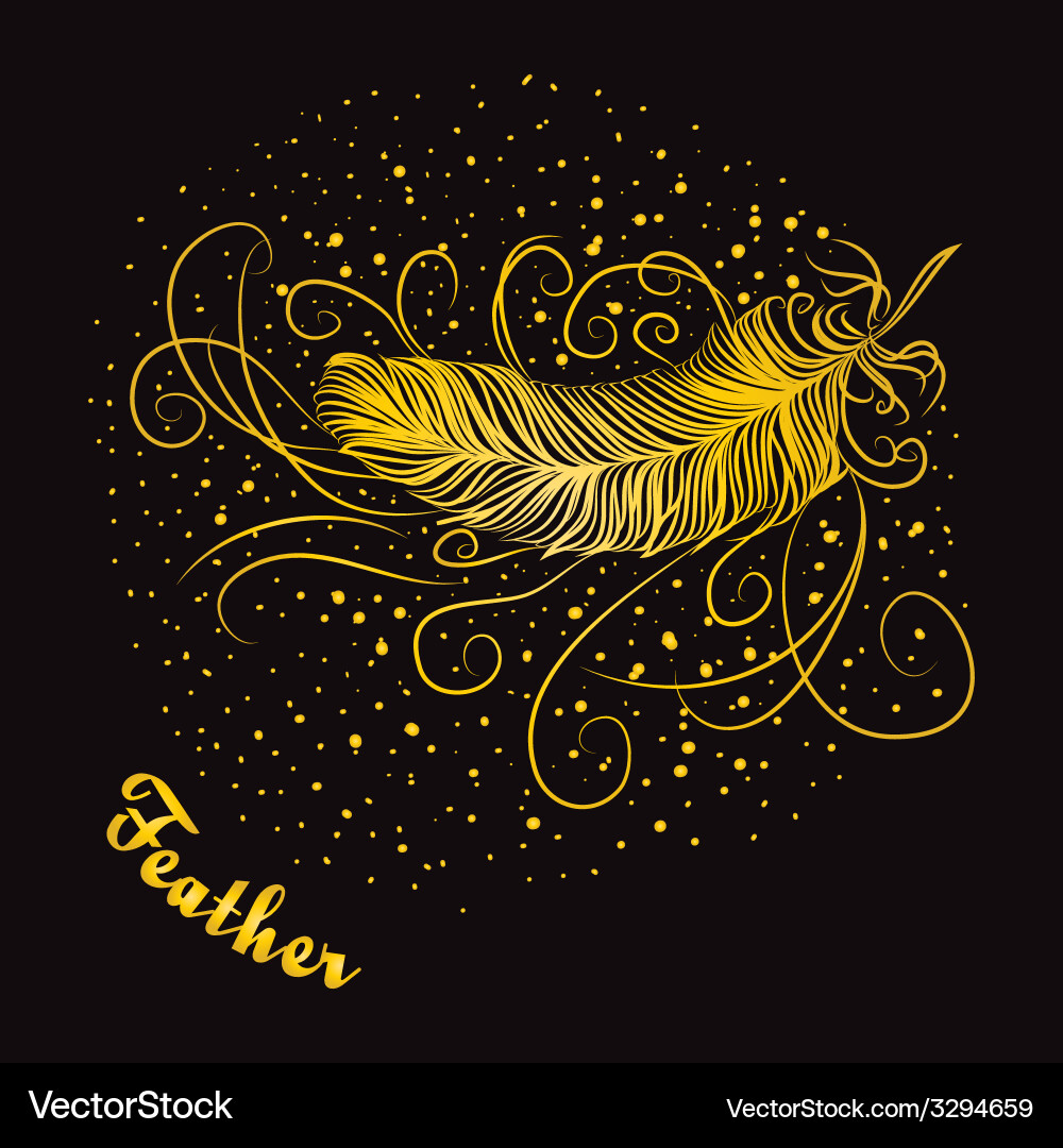 Decorative feather with curls on a dark background Vector Image