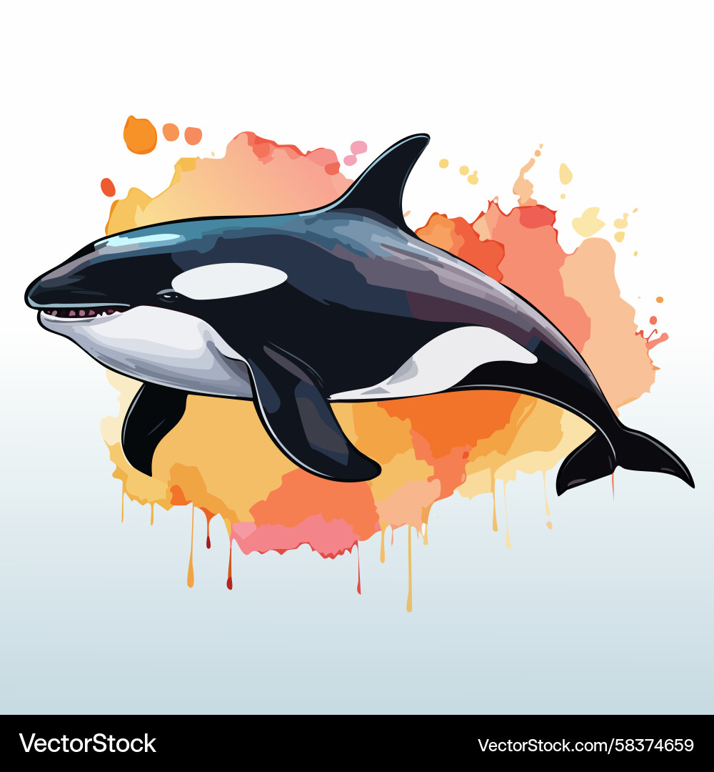 Vibrant Orca Watercolor Splash – Royalty-Free Vector | VectorStock, image size:1000x1080