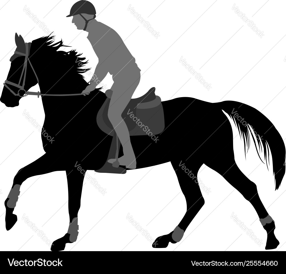 Hochwertige Silhouette junge Mann Reiten Hochwertige Silhouette junge Mann Reiten vektorbild