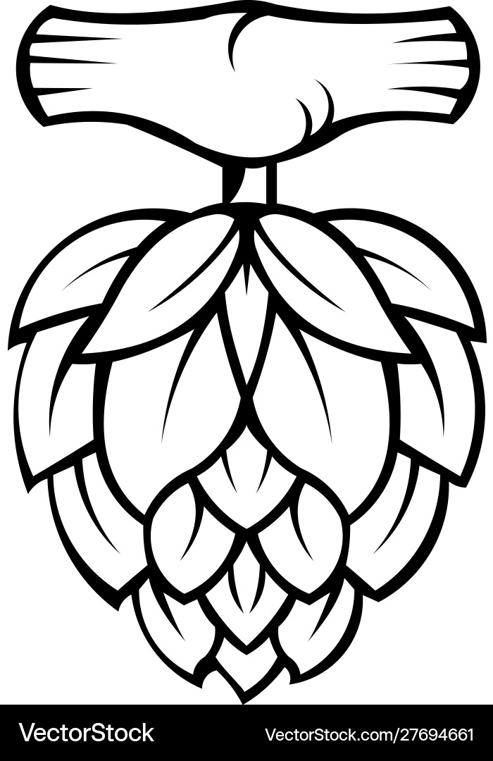 Premium quality beer hops label Premium quality beer hops label Vector Image