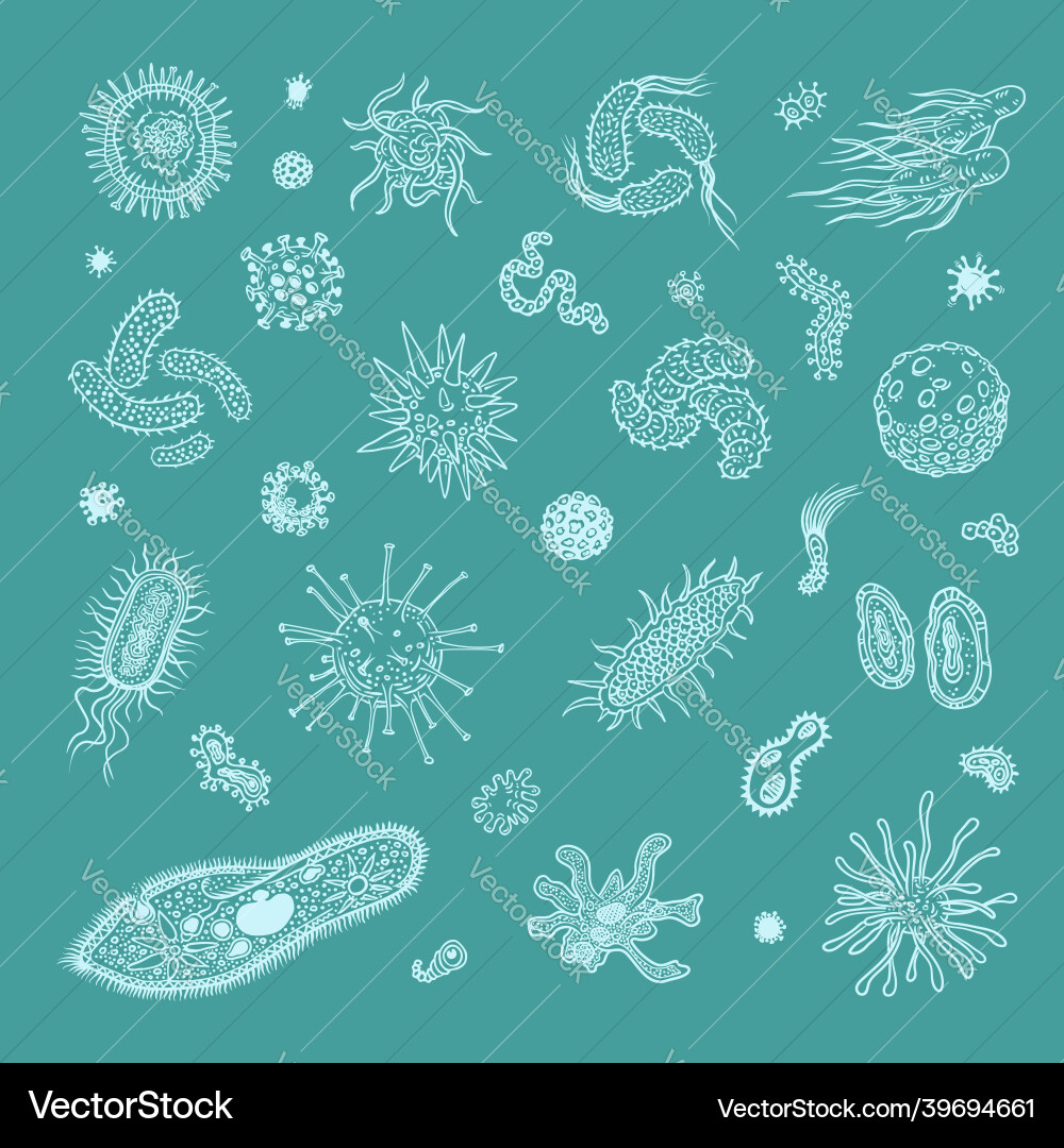 Simple set of bacteria virus icons for web design vector image