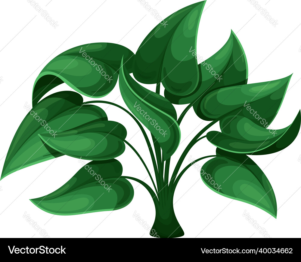 Tropical Green Plant Bush Vector Image