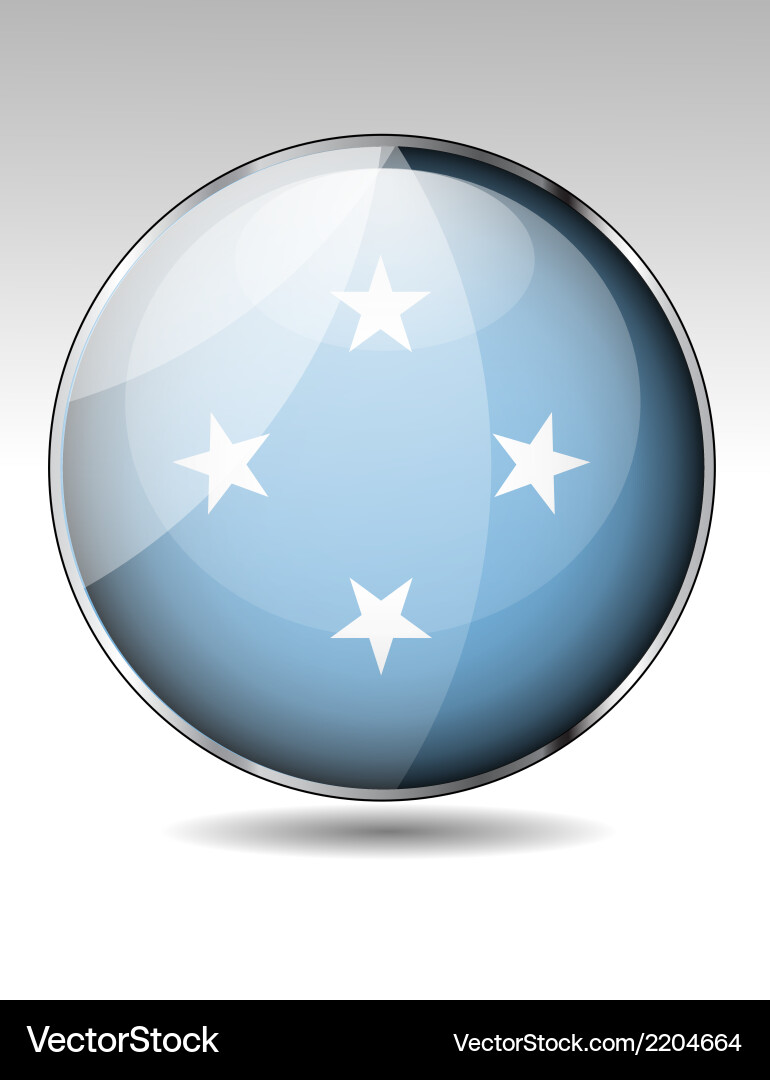 Flag button design elements Vector Image