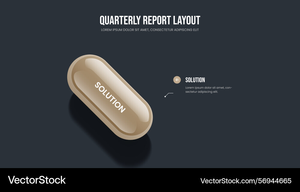 Project introduction presentation layout service Project introduction presentation layout service vector image