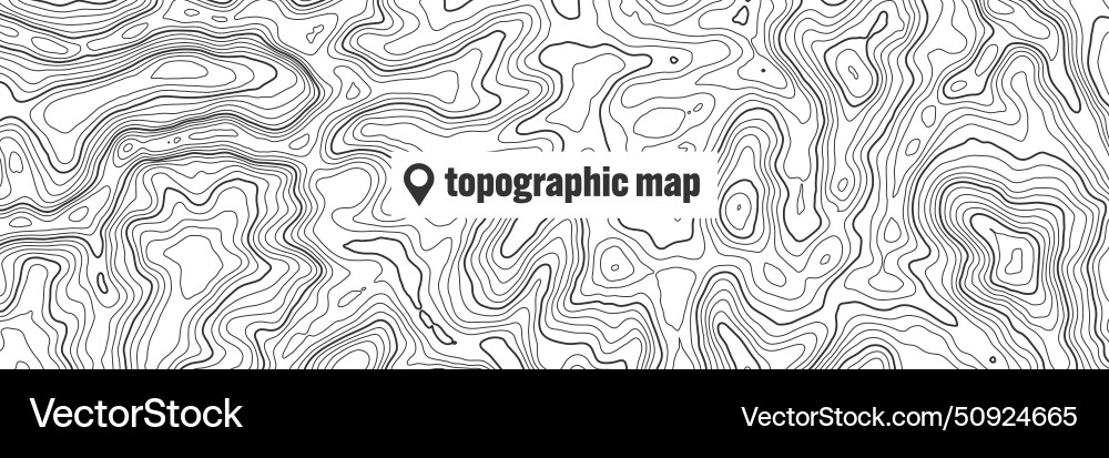 Topographic map with contour lines geographic vector image