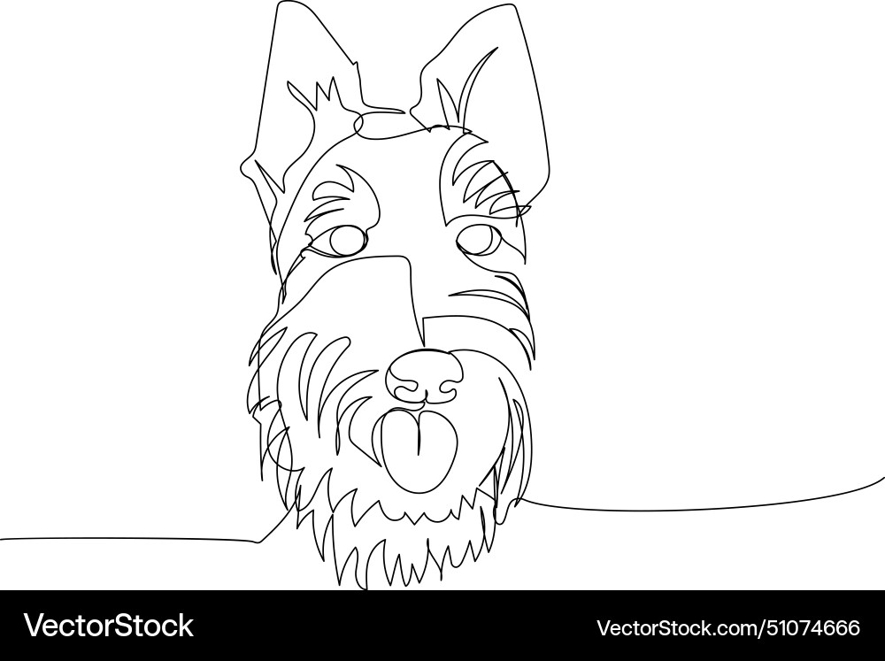 Scottish terrier hunting dog breed vector image