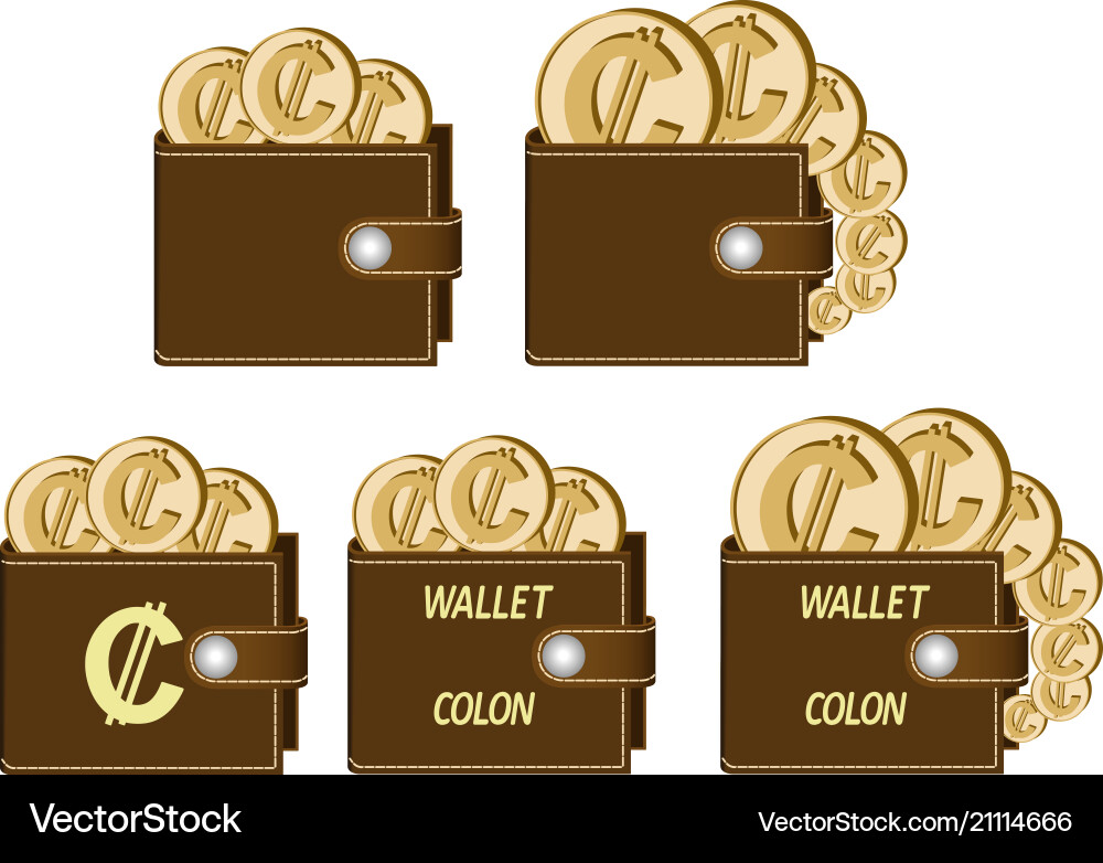 Set of brown wallets with colon coins Vector Image