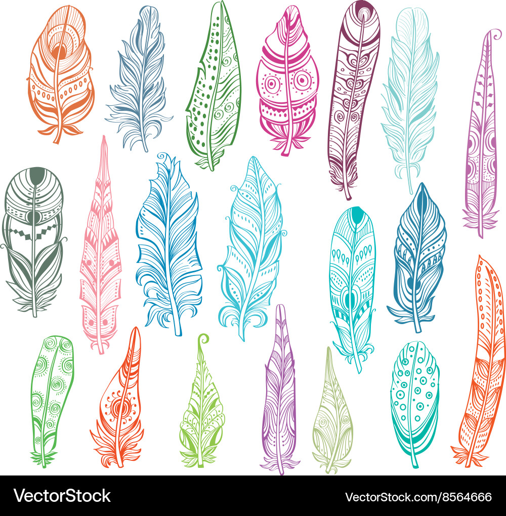 Set of color feathers in native style Vector Image