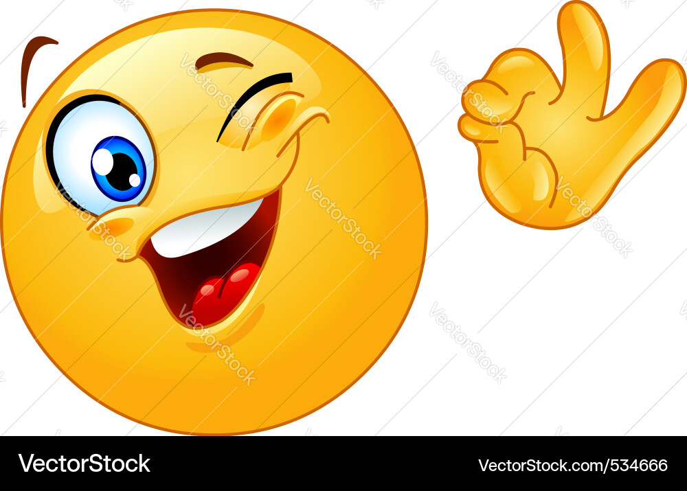 Winking Smiley Face with OK Sign Vector Image
