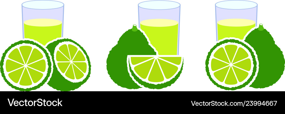 Bergamot Royalty Free Vector Image - VectorStock