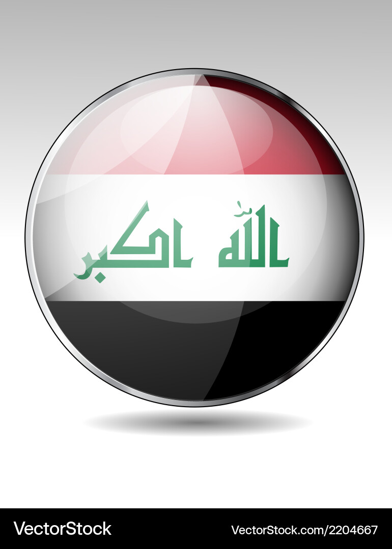Flag button design elements Vector Image