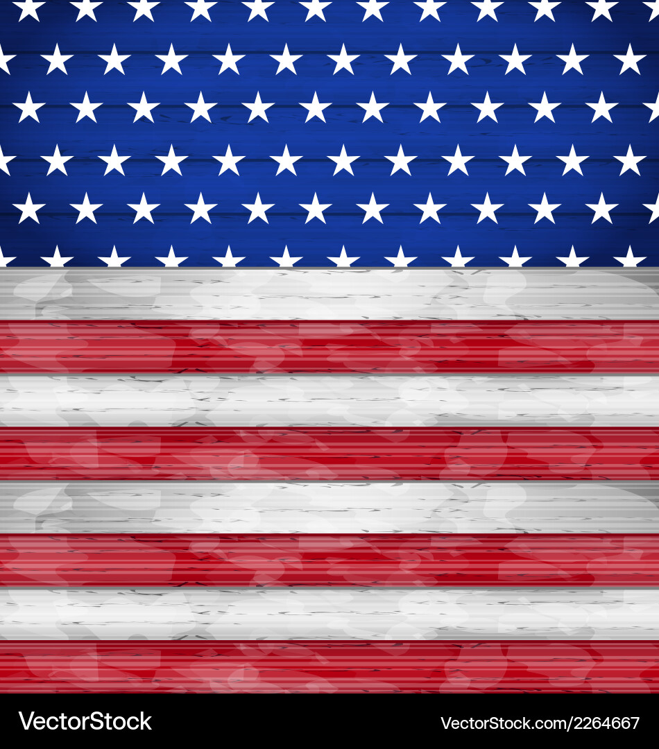 Rustic Wooden American Flag vector image