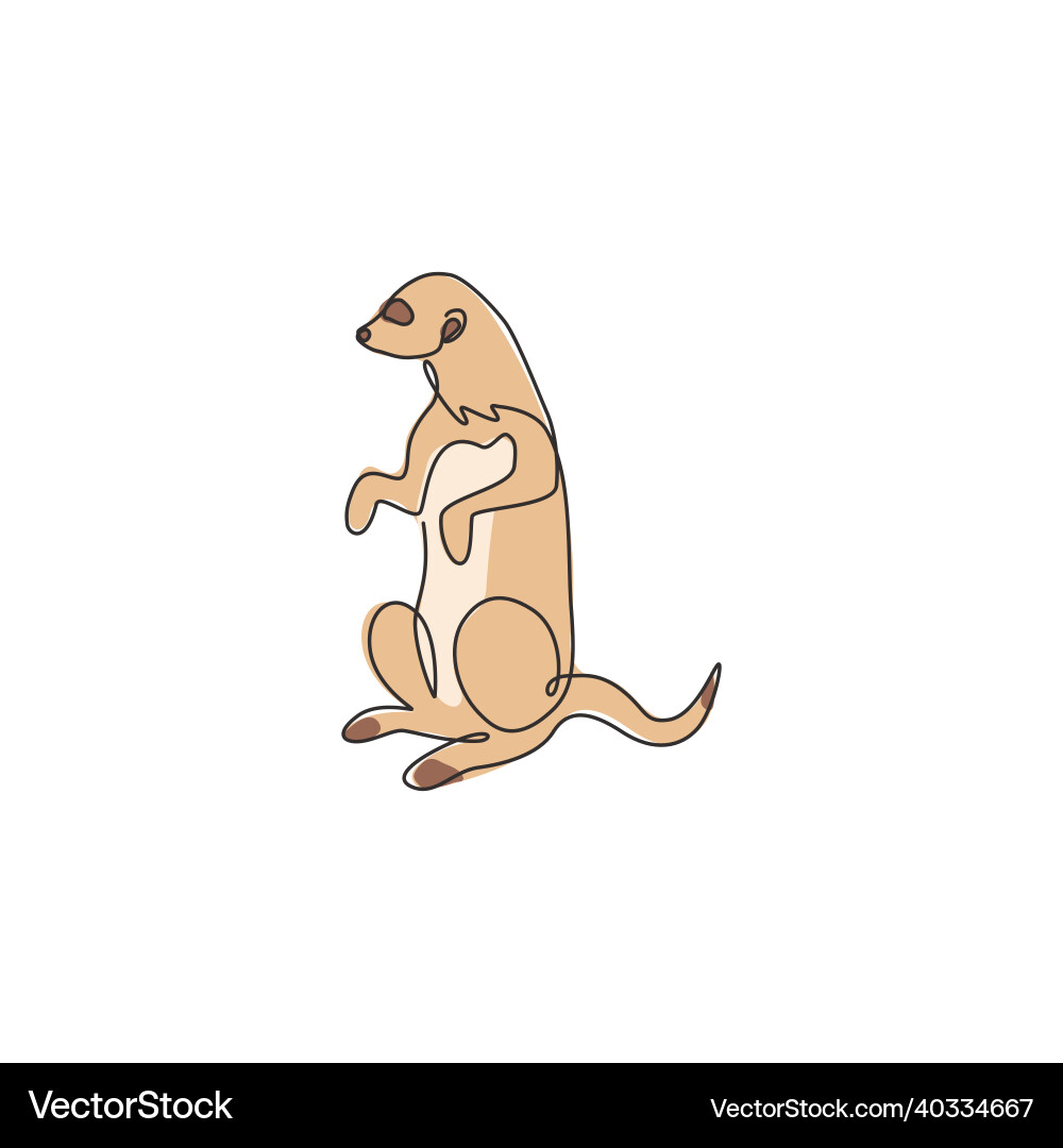 Single Line Meerkat Drawing Vector Image