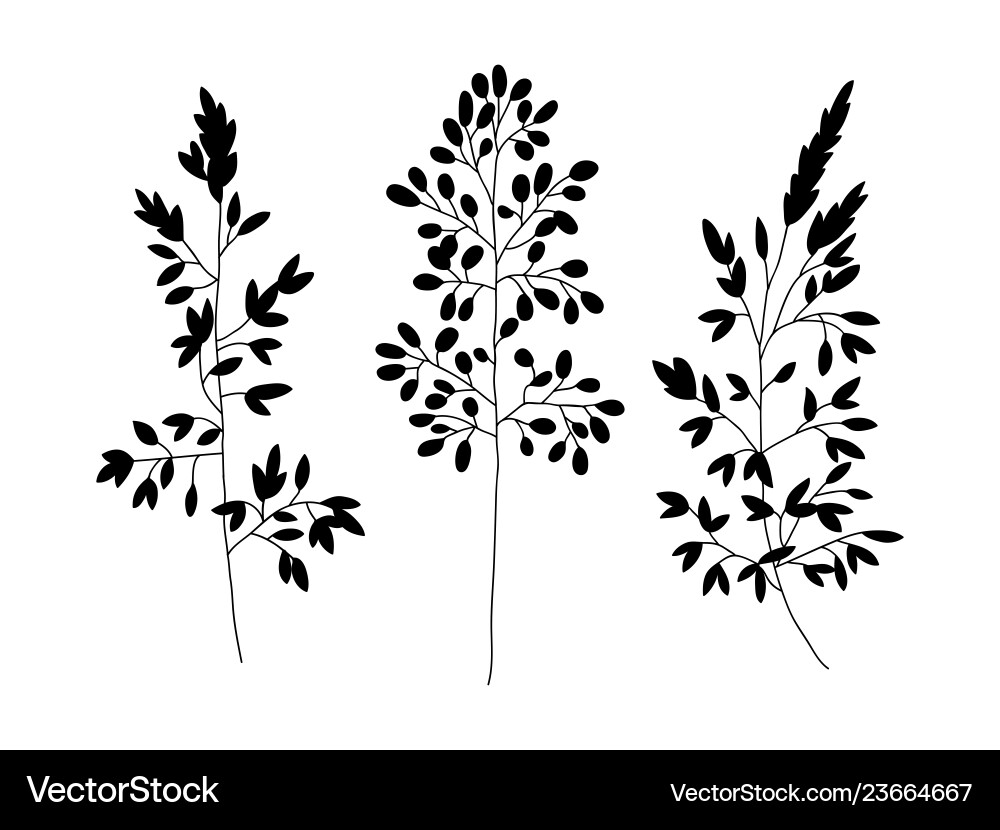 Wild and herbs plants set silhouette botanical Wild and herbs plants set silhouette botanical vector image