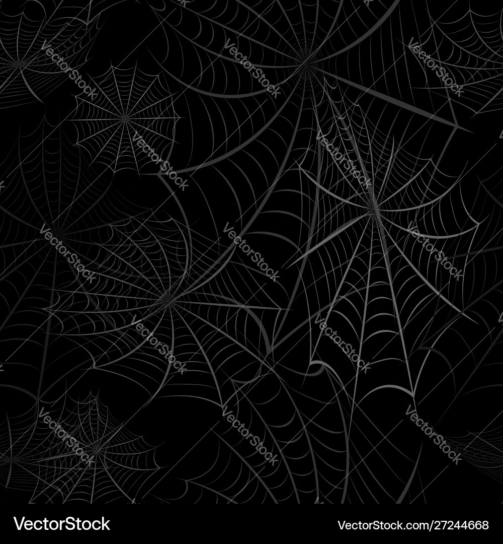 Seamless pattern with image spider web vector image