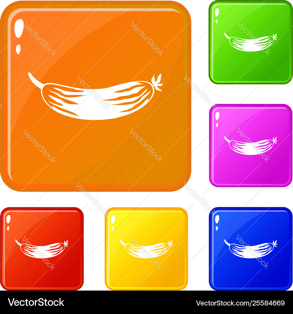Fresh cucumber icons set color Vector Image