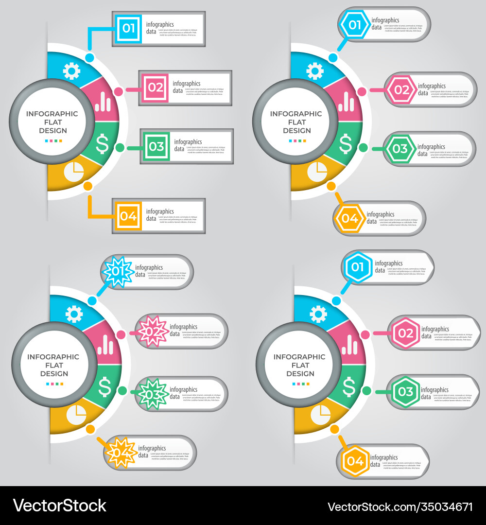 Data Visualization Process Chart vector image
