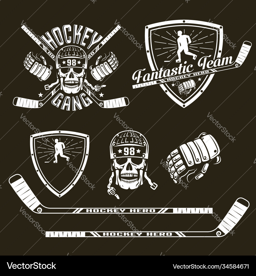 Hockey Team Emblem Vector Image