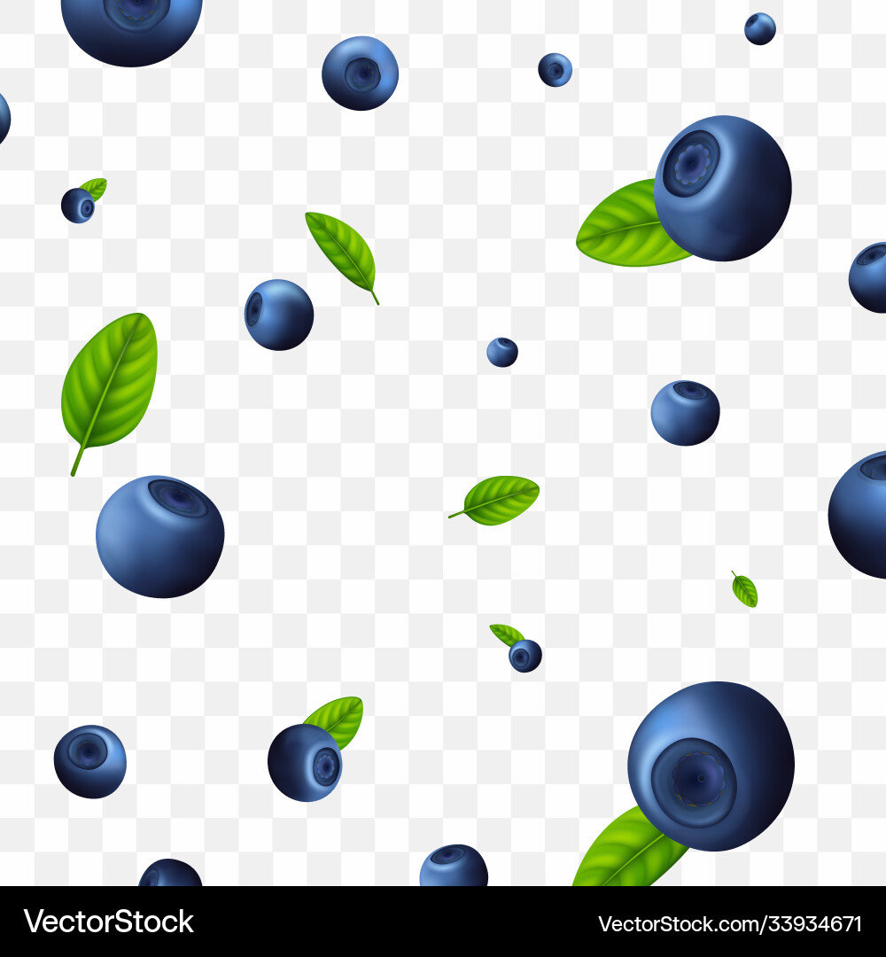 Realistic detailed 3d raw blueberry berries Vector Image