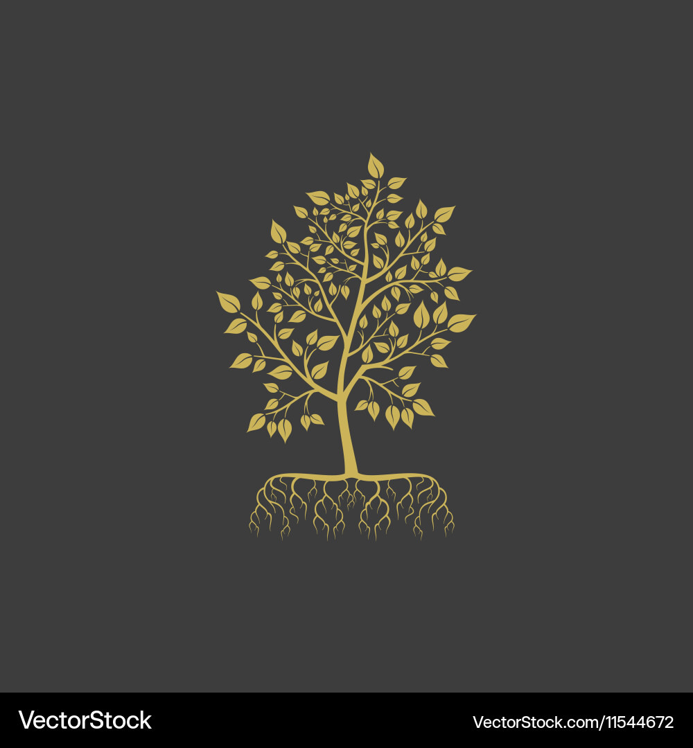 Elegant Tree Roots Logo vector image