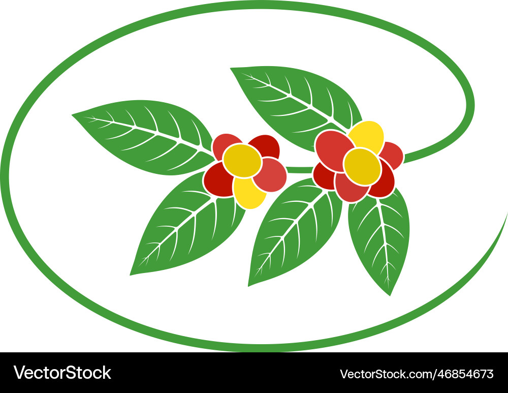 Coffee Royalty Free Vector Image - VectorStock