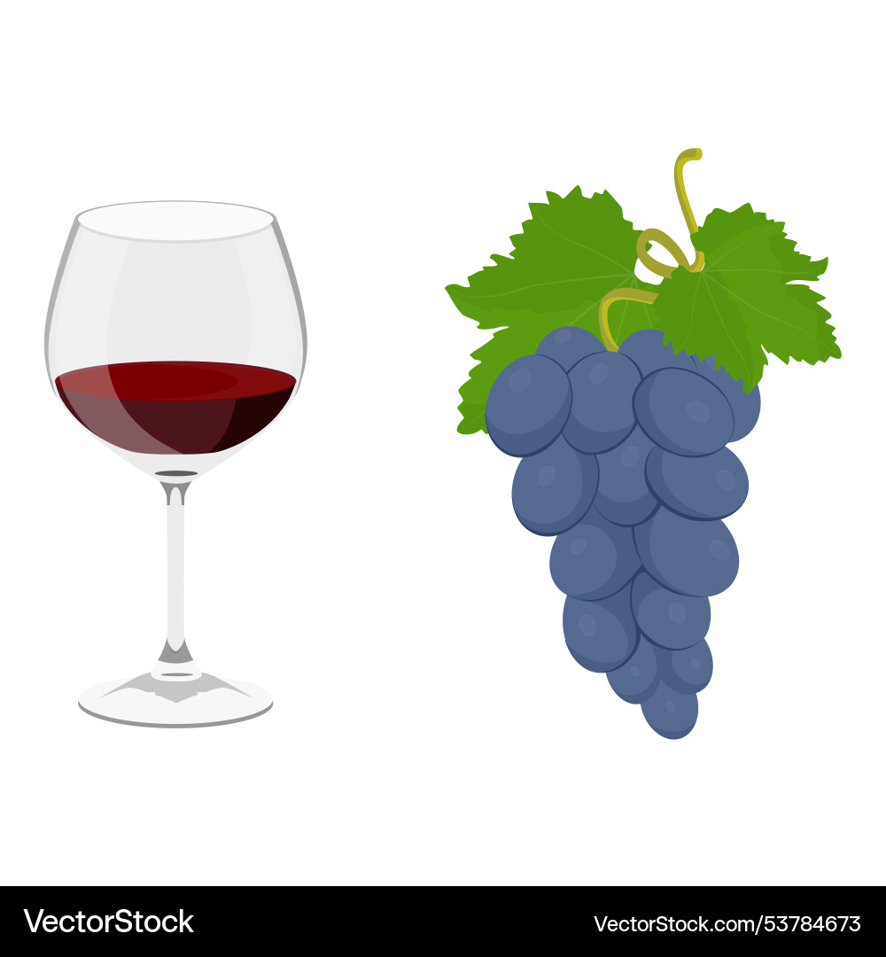 Ripe purple grapes and glass of red wine Vector Image