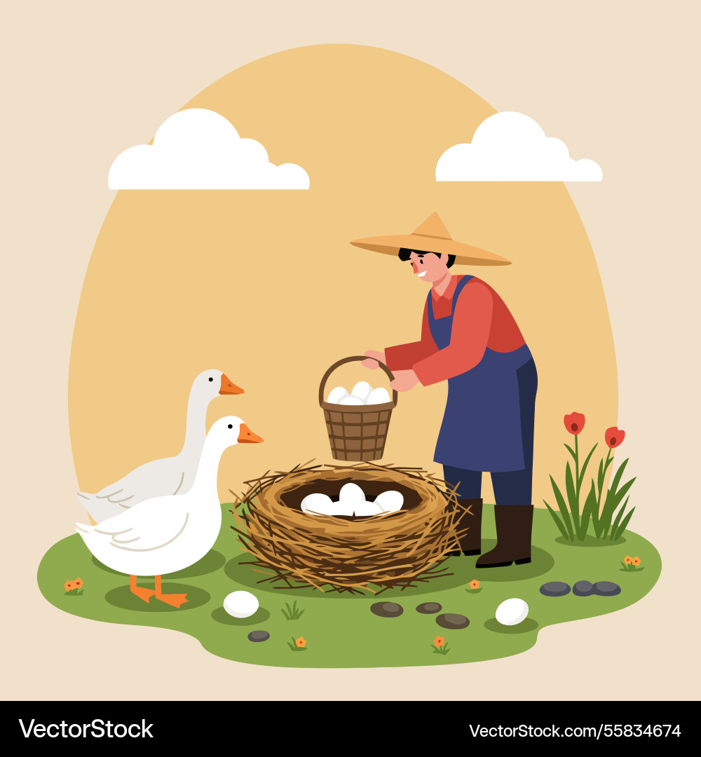 Farmer collecting eggs from nest with geese Vector Image