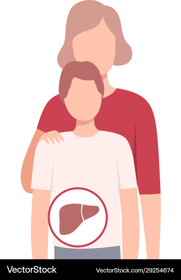 Organspende lebender Spender für Leber Organspende lebender Spender für Leber vektorbild