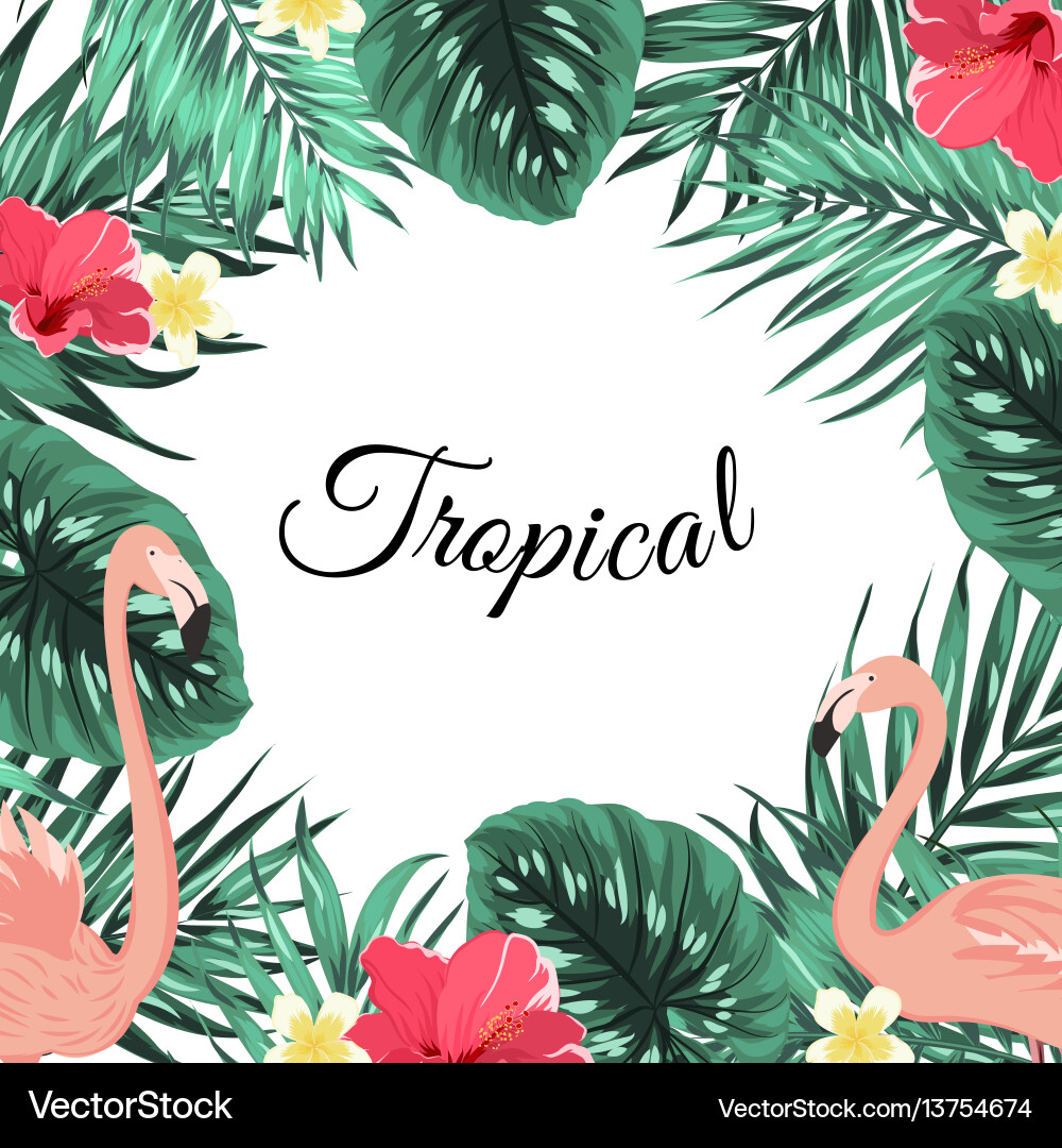 Tropical jungle palm leaves flamingo flowers frame Tropical jungle palm leaves flamingo flowers frame vector image