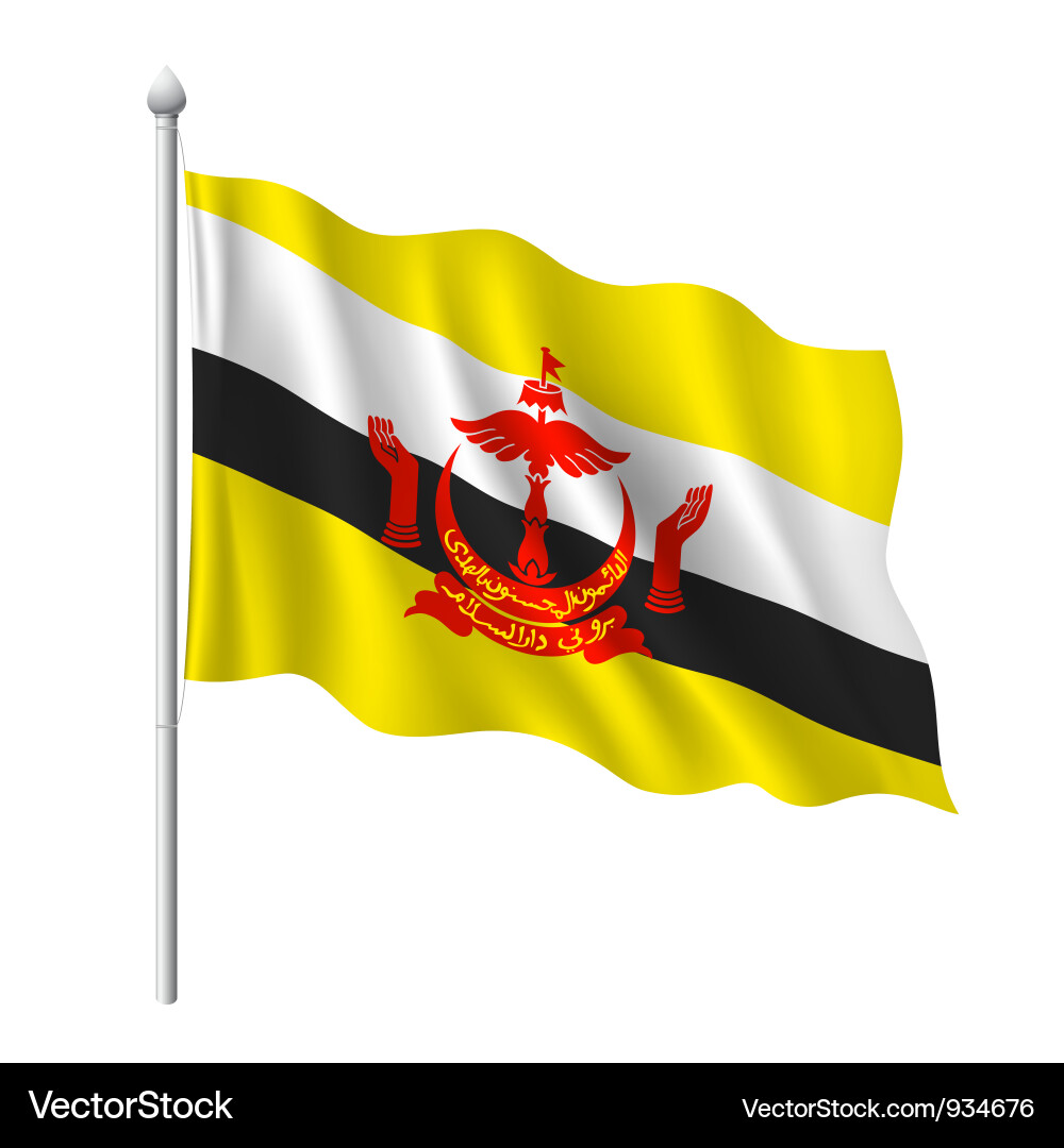 Brunei Flag vector image