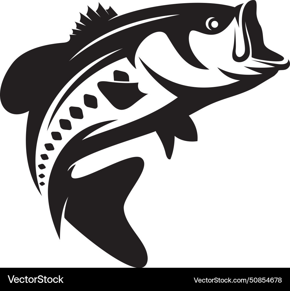 Bass Fishing Artwork Vector Image